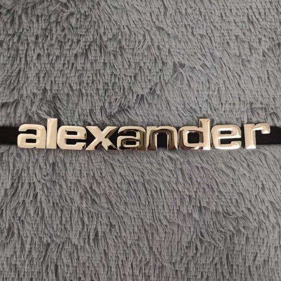 Alexander Wang Logo Belt - Picture 7 of 8